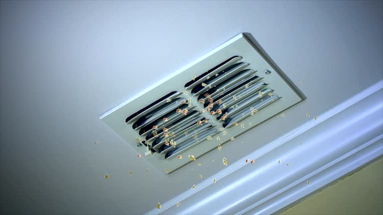 Best Commercial HVAC Duct Cleaning  in Campbellsville, KY