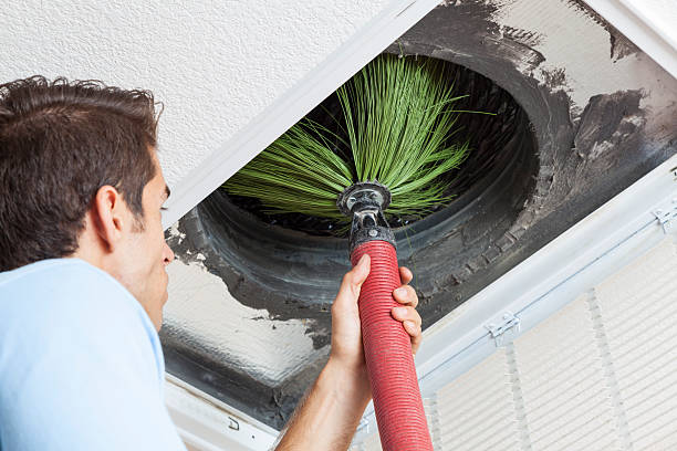 Best Air Duct Cleaning Company Near Me  in Campbellsville, KY